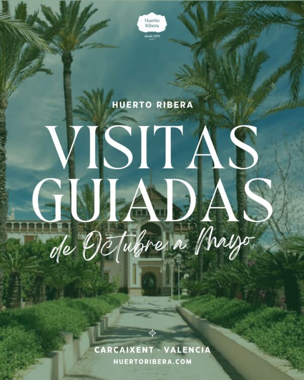 Visitas de Octubre a Mayo
