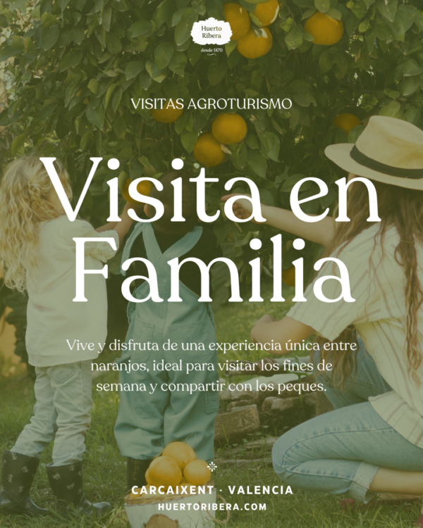 Visita Familiar