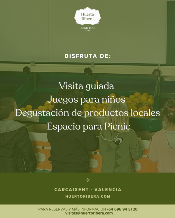 Visita Familiar - Imagen 9